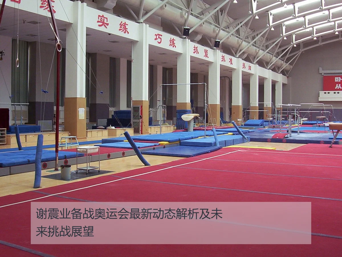 谢震业备战奥运会最新动态解析及未来挑战展望